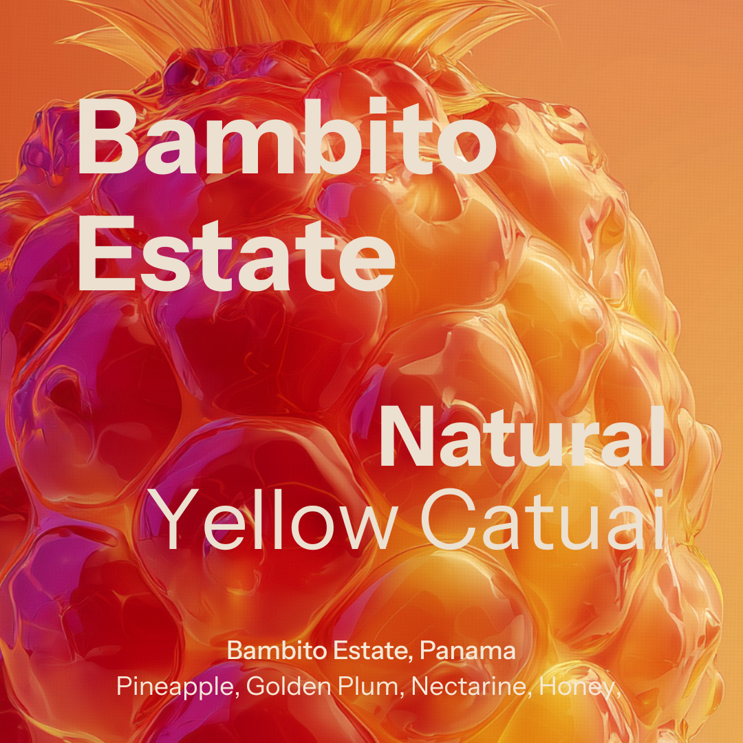 Bambito YCN (Panama) packshot