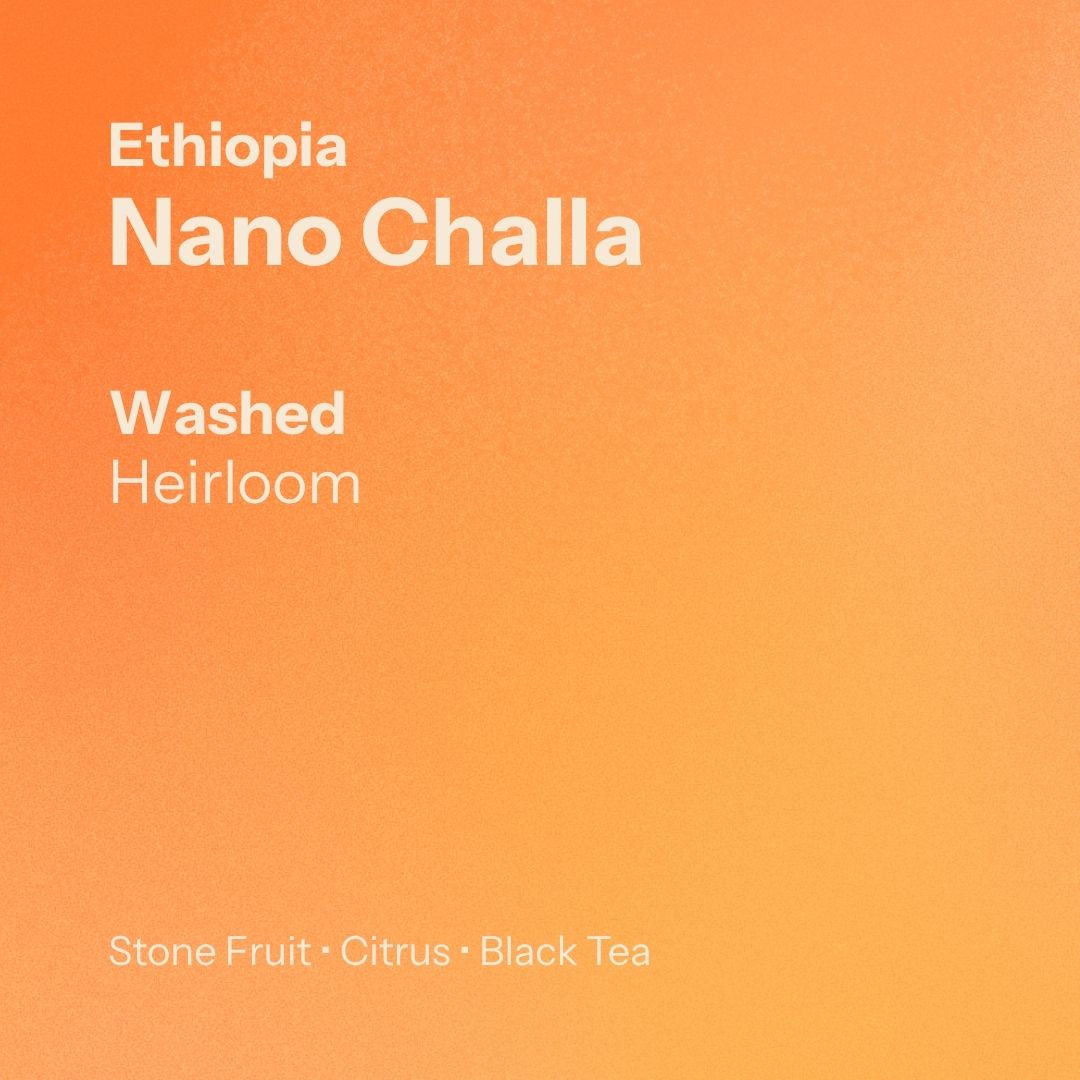 Nostos Coffee Nano Challa, Ethiopia