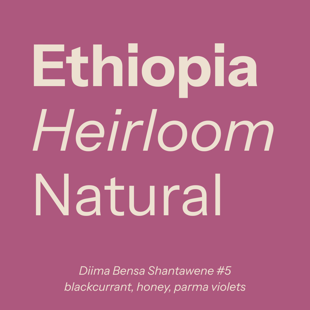 Ethiopia (Shantawene #5) packshot