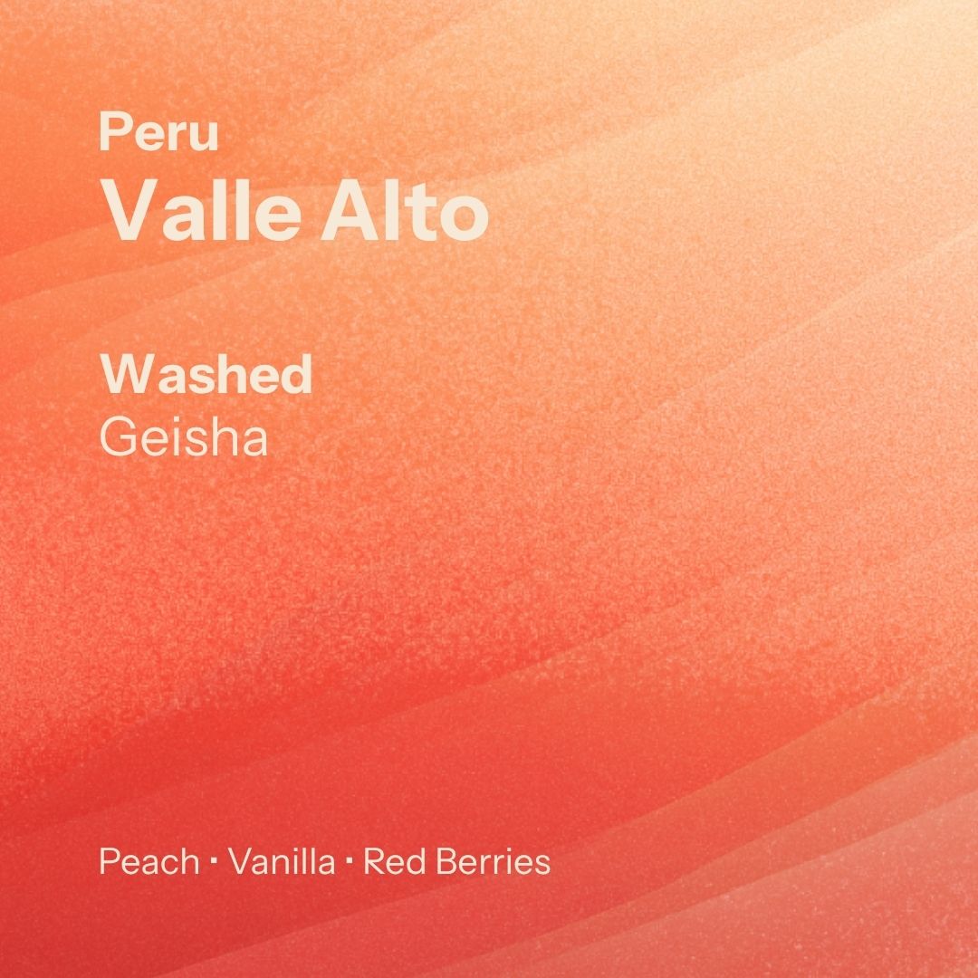 Nostos Coffee Valle Alto Geisha, Peru